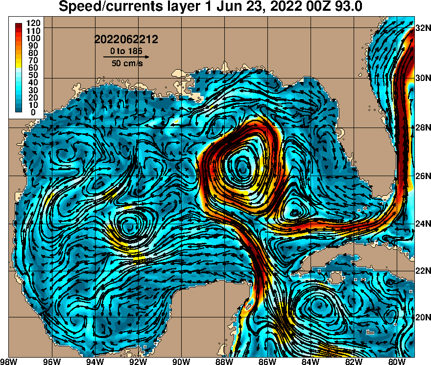 Loop current